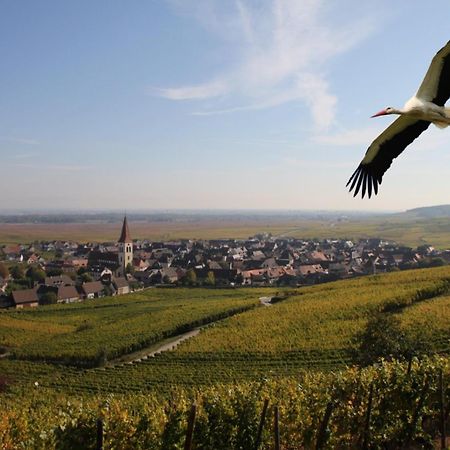 Les Chambres Du Vignoble Ammerschwihr Exteriör bild