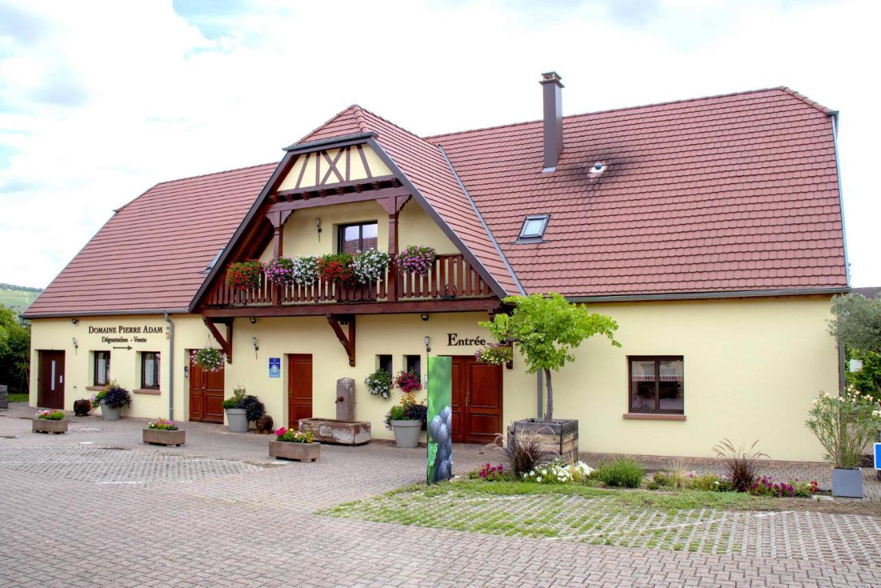 Les Chambres Du Vignoble Ammerschwihr Exteriör bild